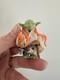Rare Vintage Star Wars Yoda Action Figure Variant Unitoy CHERRY EYE Complete