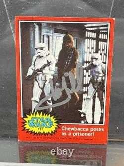 Star Wars Vintage 77' Topps Mark Hamill Signed trading card Official Pix Holo