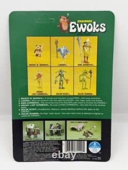 Star Wars Vintage Ewoks Urgah Lady Gorneesh, all original NOC 1985 UNPUNCHED