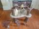 Vintage 1983 Star Wars Ewok Village Return of the Jedi Playset with Box
