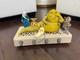 Vintage 1983 Star Wars JABBA the HUTT Throne Playset Complete With Extra Figures