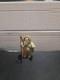 Vintage 1984 Kenner Star Wars Lumat Ewok Action Complete with Bow